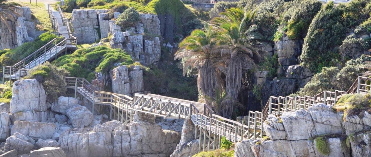 Hermanus Haven, Entire Home, On The Sea, Private Pool, Secure Экстерьер фото